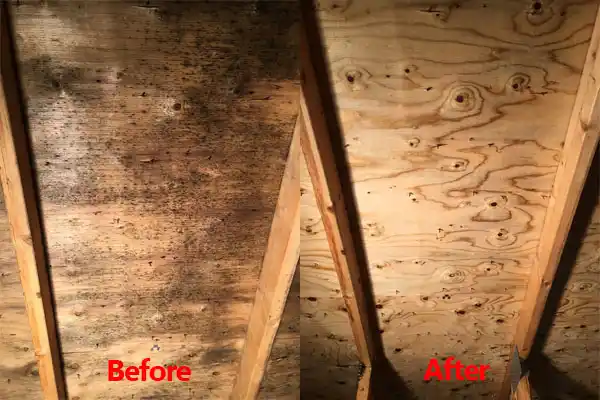 water damage restoration service Central Lake